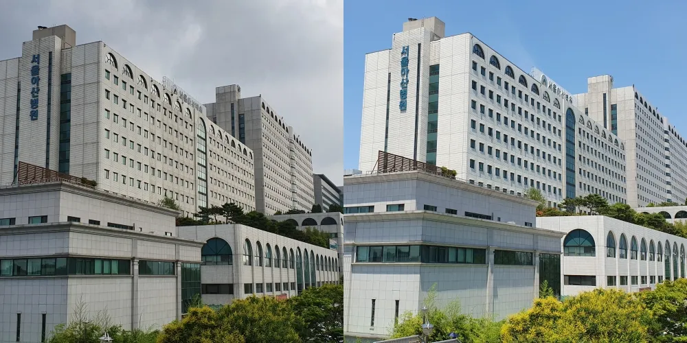 고층 건물 외벽에서 로프에 매달려 창을 닦는 작업자들